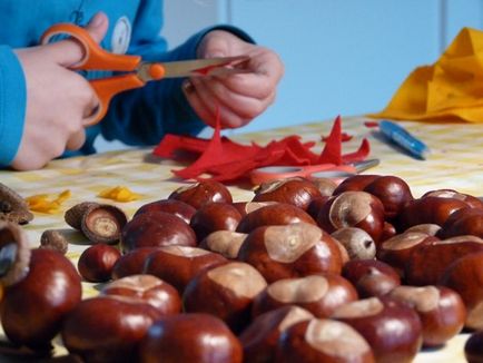 Вироби з жолудів своїми руками на тему осінь для дитячого садка і школи