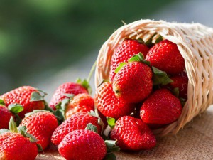 Полезните свойства на ягоди лекарствени рецепти и съвети