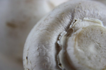 Користь і шкода шампіньйонів нові факти про знайомих грибах - ти - богиня - сайт, який приносить