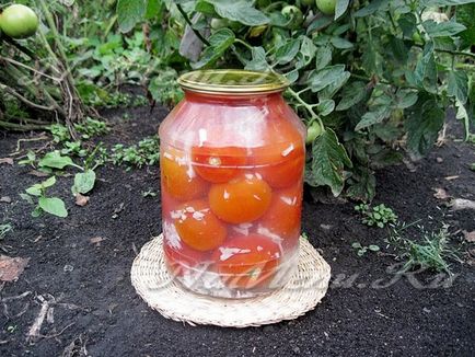 Tomate - bulgăre de zăpadă - cu usturoi pentru rețeta de iarnă cu o fotografie