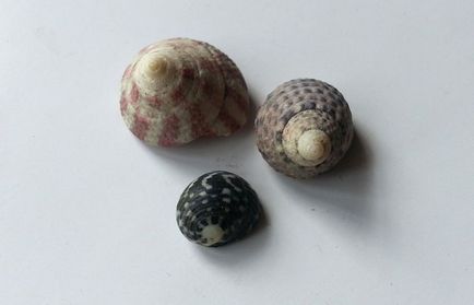 Az érzékek ünnepe mini kert, a bank a kezüket (mini-kert) Az érzékek ünnepe mini kert, a bank a kezüket