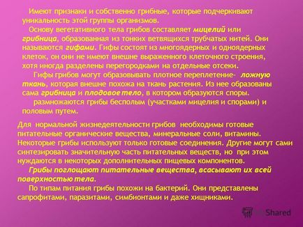 Презентація на тему гриби, одне з царств живих організмів (раніше відносили до нижчих рослин)