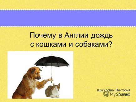 Prezentare privind motivul pentru care în Anglia ploaie cu pisici și câini Shukilovich Victoria clasa a 5-a