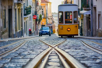 Приміські поїзди і електрички в Лісабоні, mylisbon