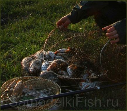 Előállítása szárított hal Astrakhan - házi halászati ​​kezük