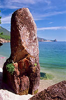 Natura lacului Baikal