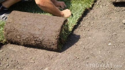 Gyártás roll gyep nő - sok, kerti zöldség kunyhó (épület portál Moszkva) Gyártása hengerelt pázsit lendületet - okok, udvar, kert, hétvégi ház