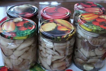 Egyszerű és gyors módszerek pácolás olajok, mint a vaj gombák pácolt tél (lé) Egyszerű és gyors módszerek pácolás olajok, mint a vaj gombák pácoljuk téli