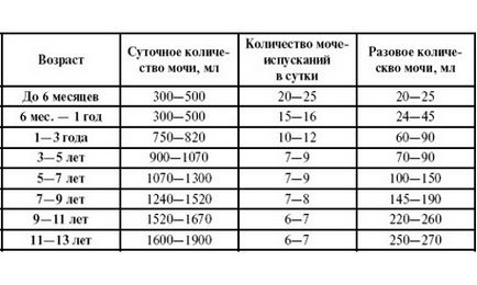 Розміри і об'єм сечового міхура у чоловіків, жінок і дітей