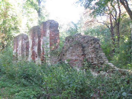 Руїни замку Бальга в калінінградської області