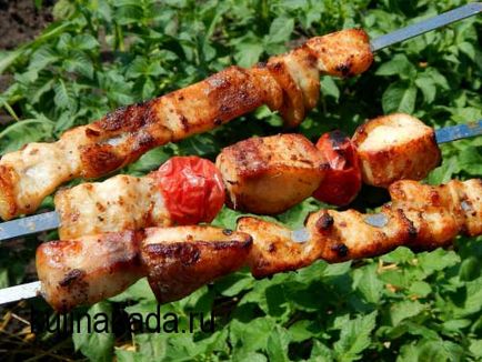 Shish kebab de pește pe gratar de bucătărie