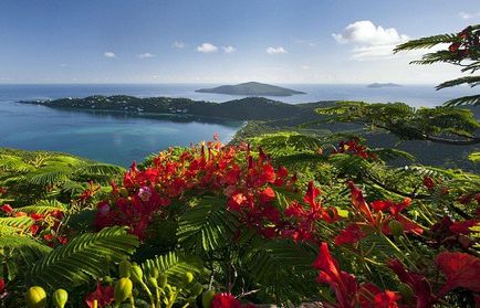 Vacanțe chic în insulele Caraibelor