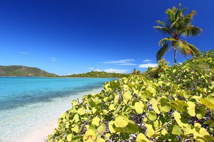 Шикарний відпочинок на карибських островах
