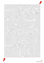 Kihívó mazes print