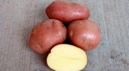 Varietate de amidon de cartofi caracteristică, fotografie, recenzii