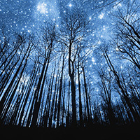 Poezii despre noaptea înstelată