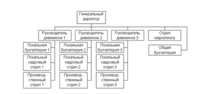 Structura organizației - schemă, exemplu, descriere