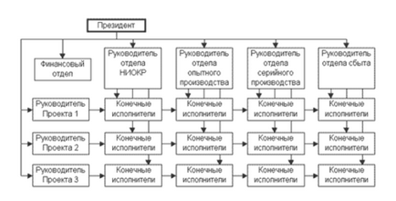 Structura organizației - schemă, exemplu, descriere