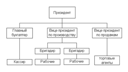 Structura organizației - schemă, exemplu, descriere