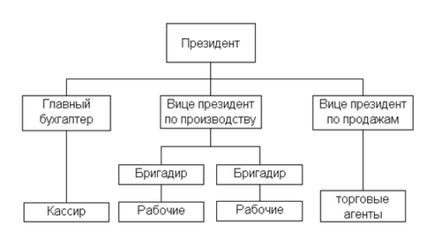 Структура організації - схема, приклад, опис