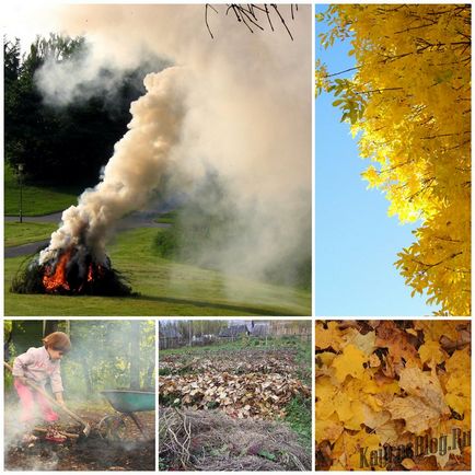 Спалювання листя - сезонна проблема і її рішення