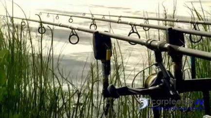 Carp Fishing Tactics 2017