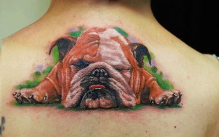 Tattoo Bulldog - érték tetoválás minták és képek