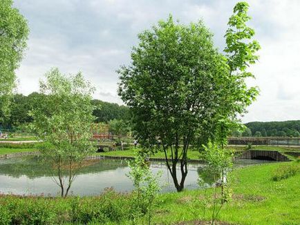 Terletskiy Park