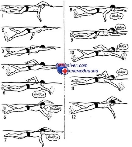 Техніка рухів ніг при плаванні кролем