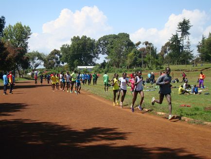 The runners, чому кенійці кращі стаєр в світі