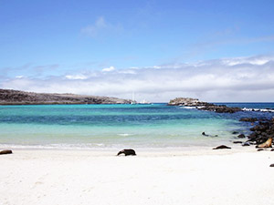 Tururi la Insulele Galapagos cum să obțineți, hoteluri, prețuri, recenzii, videoclipuri și fotografii