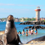 Túrák a Galápagos-szigetek irányban, szállodák, árak, vélemények, videók és fotók