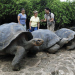 Túrák a Galápagos-szigetek irányban, szállodák, árak, vélemények, videók és fotók