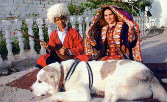 Туркменська вівчарка догляд, зміст, характер, вид