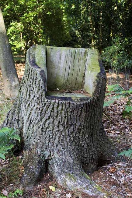 Távolítsuk el a csonkot, vagy hogy egy fából készült széket a kertben