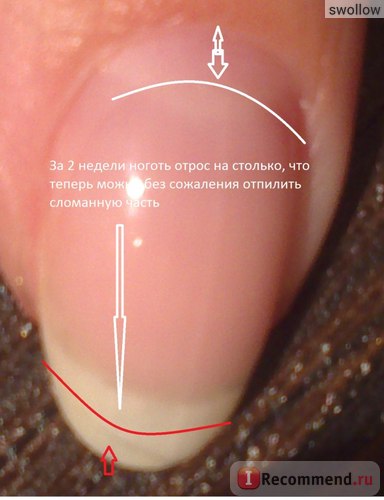 Consolidarea unghiilor cu gel bio - 