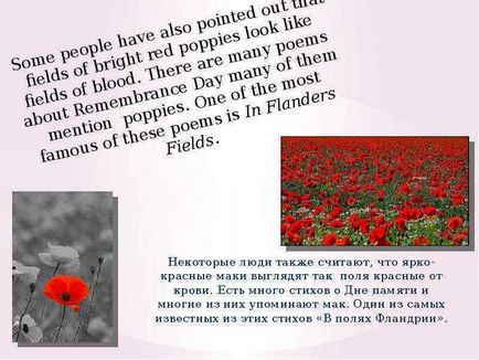 Урок по темі remembrance day