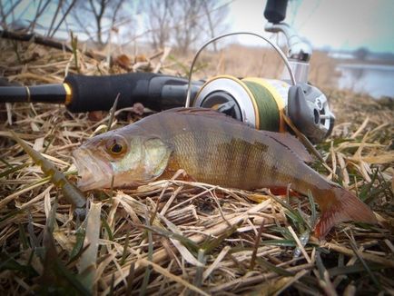 Варіанти проводки при лові на відвідної поводок - fishing magazine - інтернет-журнал про улюбленому