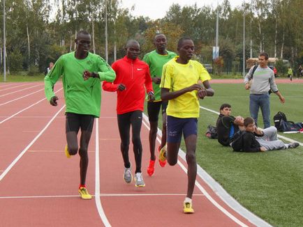 Mi a titka a kenyai futók cikk