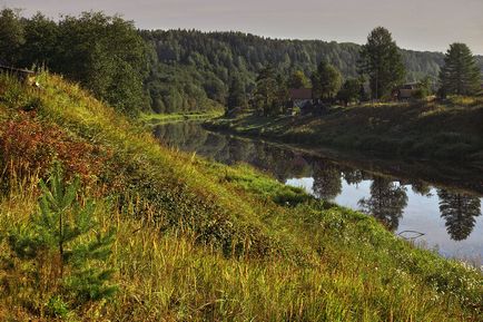 Вепська ліс 1