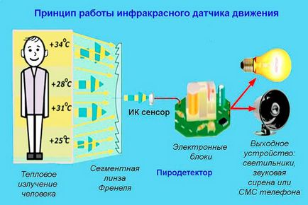 Вибираємо бездротової датчик руху основні особливості, плюси і мінуси, а також різновиди