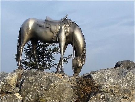 В някои градове има паметници на коне