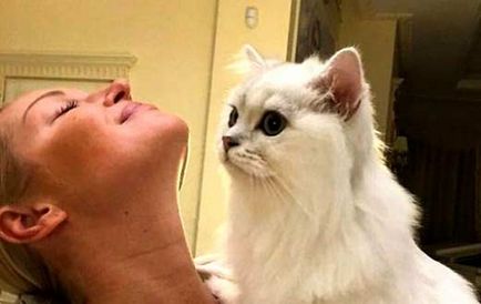 Volochkova a castrat pisica ei