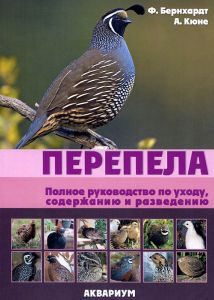 Kelet-fríz (ostfrizskaya, ostfrislyandskaya) (juhfajta) (ostfrizskaya) Kelet-fríz (ostfrizskaya, ostfrislyandskaya) (juhfajta)