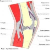 Posibilități de tratare a osteoporozei cu aparate de denas și diaden