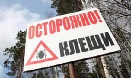 У перші дні серпня в Тюмені від укусів кліщів постраждали 33 дитини, Тюменська область - фотосмі,