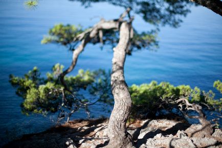 În Croația cu copii sau de ce Makarska Riviera este potrivit pentru noi în lume