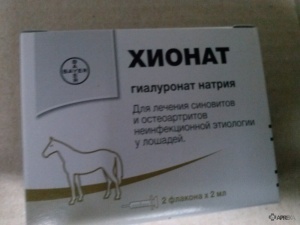 Хионат (розчин для ін'єкцій) для собак, коней, відгуки про застосування препаратів для тварин від