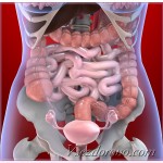 Tractul gastrointestinal), efectul tratamentului este vizibil în ochi