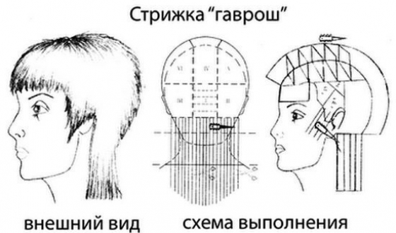 Жіноча стрижка гаврош для коротких, середніх і довгих волосся